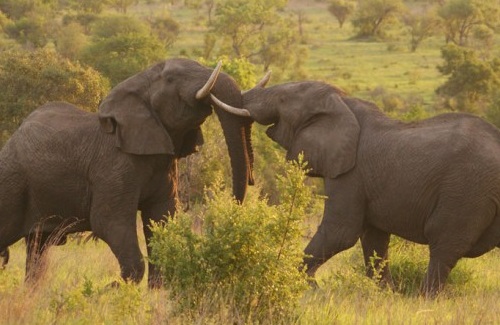 groepsreis Het Beste van Zuid-Afrika 